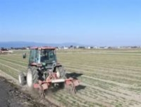 ［佐賀県］「現場の声聞いて」　「効果ある政策を」　県内農家　募る不安