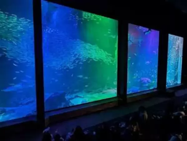 福岡市の「マリンワールド海の中道」で夜のすいぞくかん　5月2～6日