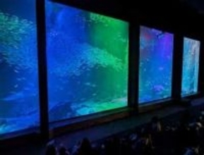 福岡市の「マリンワールド海の中道」で夜のすいぞくかん　5月2～6日
