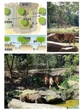 【福岡市議会レビュー】動植物園に「サバンナ」エリア整備　ライオンやキリンを一体展示へ