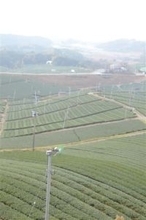 戦時中に遷都候補地だった福岡・八女市　極秘計画は敗戦で幻に、副首都議論で再び注目