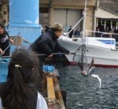 ［長崎県］今年も海の安全と豊漁を　対馬で新春恒例の十日恵比須祭り