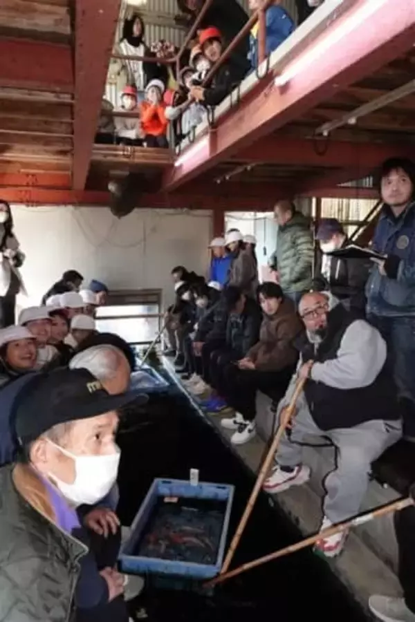 熊本・長洲町で九州唯一「金魚の初競り」大盛況　高値に児童「びっくり」