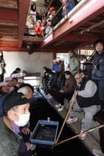 九州唯一、金魚の初競り大盛況　高値に児童「びっくり」　熊本・長洲町