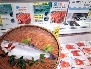 「宗像サーモン」を限定販売　道の駅で毎週金曜～日曜