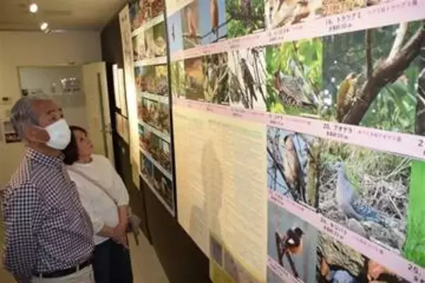 ［大分県］古文書で江戸期の生物探る　日田市立博物館で企画展　大蔵永常の業績も紹介