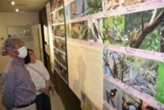 ［大分県］古文書で江戸期の生物探る　日田市立博物館で企画展　大蔵永常の業績も紹介