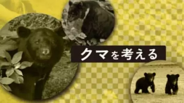 九州の野生グマ生存説を再燃させた学生の発見【復刻連載・クマを考える①】