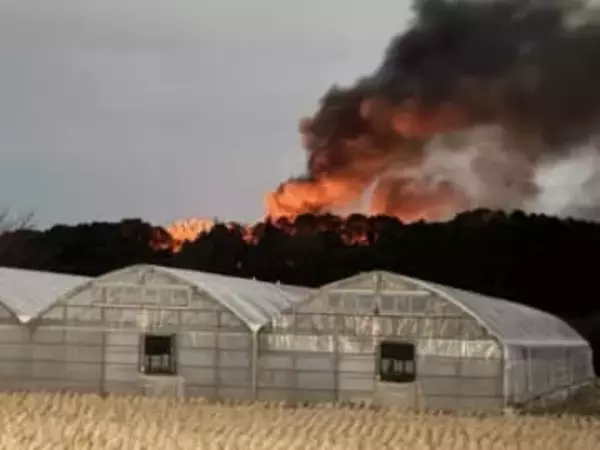 山林火災、福岡県内で4日間に3件相次ぐ　少雨、乾燥、強風…2月～4月は多発する傾向