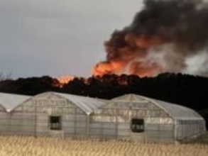 山林火災、福岡県内で4日間に3件相次ぐ　少雨、乾燥、強風…2月～4月は多発する傾向