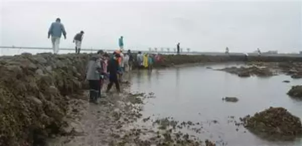 有明海の伝統漁法「スクイ」守れ　料理人たちが体験　長崎・諫早市の高来町で住民と地魚談議