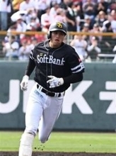 【春季キャンプ】ソフトバンクホークス笹川、衝撃の特大弾　WBC代表と壮行試合