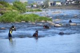 ［大分県］アユ成長は？「食み跡」観察　20日漁解禁　日田の河川調査