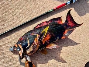 沖縄で釣った〝赤いはずの高級魚〟が真っ黒に…… 釣り人も驚いた1匹に「CGかと思った」「初めて見た」