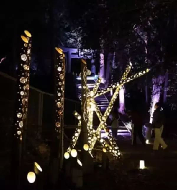 「小浜温泉街」彩る明かり　長崎・雲仙市