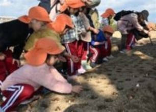 福岡・直方市で12月10日までチューリップ球根植え付け