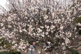 宮崎滔天と孫文の「友情の梅」見頃　熊本・荒尾市の「宮崎兄弟の生家」