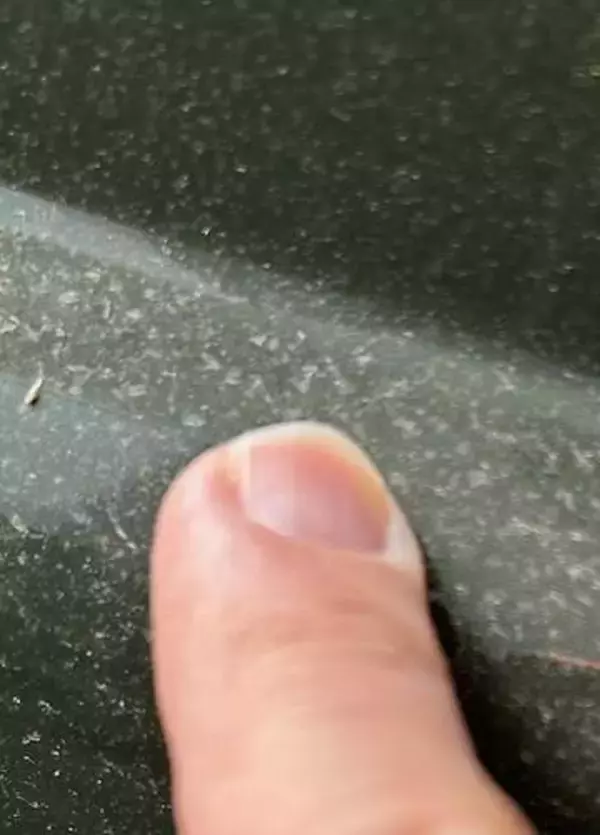 福岡で降り注ぐ「謎の黄色い粉」　黄砂でもスギ花粉でもなく…正体は？