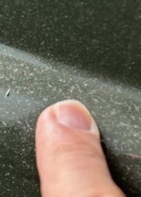 福岡で降り注ぐ「謎の黄色い粉」　黄砂でもスギ花粉でもなく…正体は？