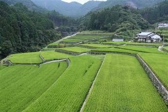 福岡・東峰村で棚田撮影ツアー　9月26日、県が参加者募集
