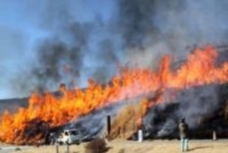 千年をつなぐ炎　阿蘇・草千里周辺で春を告げる野焼き