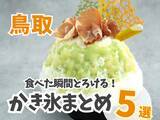 「綿雪のようなふわふわかき氷やケーキ屋さんの本気の1杯も！鳥取かき氷まとめ5選｜」の画像1