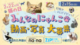 「【猫の日】ネコ動画・写真を募集中！選ばれた作品はテレビ・WEBマガジンでデビュー♪」の画像1