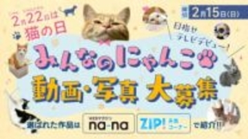 【猫の日】ネコ動画・写真を募集中！選ばれた作品はテレビ・WEBマガジンでデビュー♪
