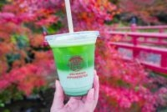 レトロな木造駅舎から始まる町歩き旅。日本茶専門店の極上抹茶ラテを片手に紅葉狩り♪｜鳥取県若桜町