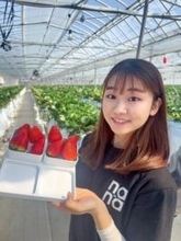 11品種を栽培する農園のイチゴ狩り♪寒さ厳しい山間の地域で育つ甘くて香り高いイチゴをスイーツと一緒に！｜島根県益田市