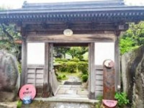 新鮮な野菜のボリュームランチ。曜日限定で天然酵母のパンも。｜鳥取市