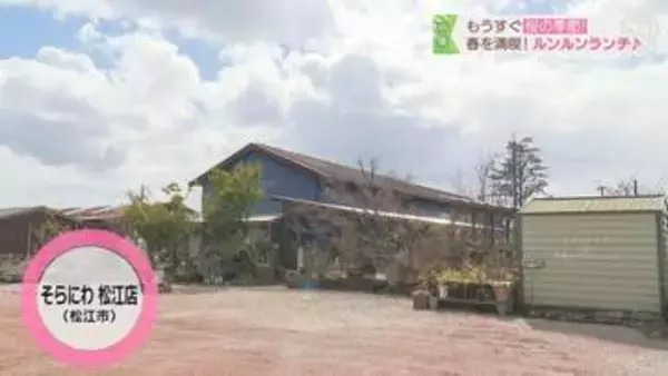 【そらにわ松江店】店内には植物がいっぱい！ランチからスイーツまで楽しめるカフェ｜松江市