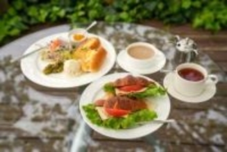 42年続く湖畔の老舗喫茶店でモーニング。白鳥を眺めながら過ごす優雅なひととき｜島根県松江市