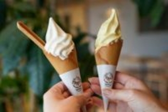 【山陰初出店】ミニストップのソフトクリームが鳥取に期間限定で登場！ソフトクリーム＆ハロハロを実食レポ
