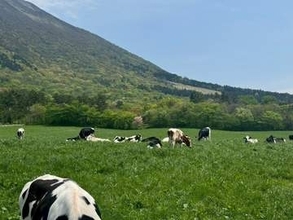 大山の絶景と白バラ牛乳を満喫！リニューアルした〈大山まきばみるくの里〉へ ｜鳥取県大山町