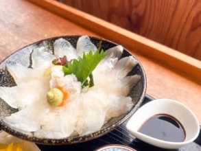 美しい白身がたっぷりと乗った海鮮丼！新鮮な養殖ひらめを堪能できる漁港にあるレストラン｜鳥取県湯梨浜・泊