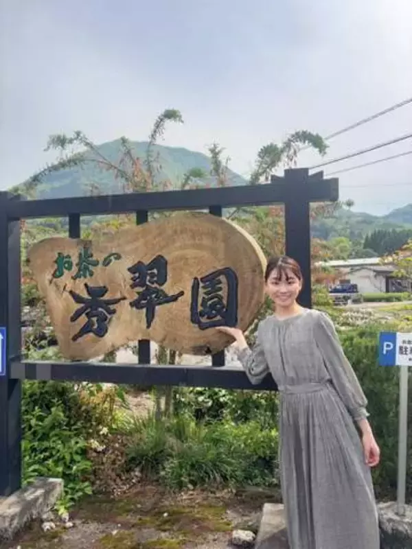 茶摘み茶摘み♪新緑の季節にお茶処津和野でゆったりお茶時間を楽しんでみては♪｜島根県津和野町