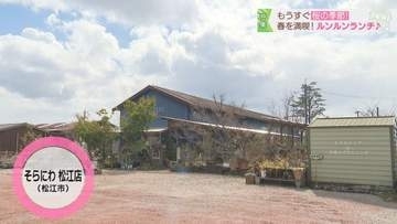 【そらにわ松江店】店内には植物がいっぱい！ランチからスイーツまで楽しめるカフェ｜松江市