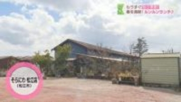 【そらにわ松江店】店内には植物がいっぱい！ランチからスイーツまで楽しめるカフェ｜松江市