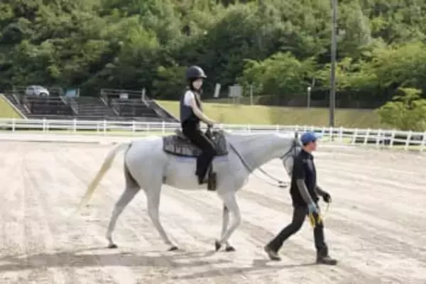 2026午年の注目スポット！優しい馬とふれあえる癒しの施設。初心者OKの引馬体験と餌やりで、心ほぐれるひとときを｜島根県浜田市
