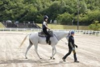 2026午年の注目スポット！優しい馬とふれあえる癒しの施設。初心者OKの引馬体験と餌やりで、心ほぐれるひとときを｜島根県浜田市