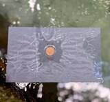 「朝ドラ「ばけばけ」にも登場した占いのできる池。縁結びで有名な八重垣神社の鏡の池に行ってきた！｜島根県松江市」の画像1