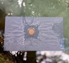 朝ドラ「ばけばけ」にも登場した占いのできる池。縁結びで有名な八重垣神社の鏡の池に行ってきた！｜島根県松江市