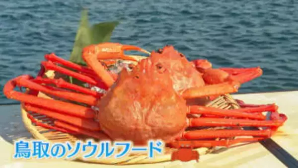 【人気お取り寄せ】老舗弁当店が作るカニをふんだんに楽しめる駅弁！旅気分を味わえるお取り寄せも！｜鳥取市