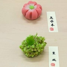 日本を代表する和菓子処・松江で、季節と変化を楽しむ和菓子作り体験を。|松江市