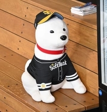 「可愛いの大渋滞」年一の注射でドタバタ劇…富山の〝ワンちゃん集団接種〟密着動画が話題に