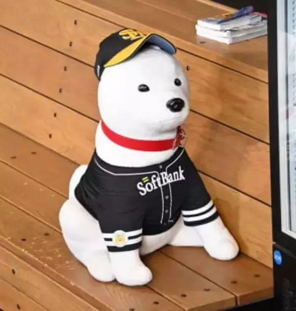 「可愛いの大渋滞」年一の注射でドタバタ劇…富山の〝ワンちゃん集団接種〟密着動画が話題に