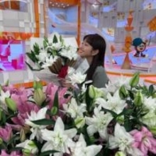 東大卒業、医師と電撃婚、突然のフジ退社…30歳人気アナ〝雰囲気ガラリ〟心機一転な姿に「藤本万梨乃アナ結構好き」「磨きかかってる」の声