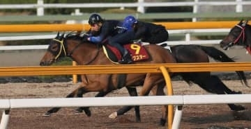 「とっても優しい顔に」傘寿迎えた伝説の名伯楽、川田将雅と〝師弟ショット〟「こんなに楽しそうな顔、初めて見ました」「佐賀競馬の誇りです」