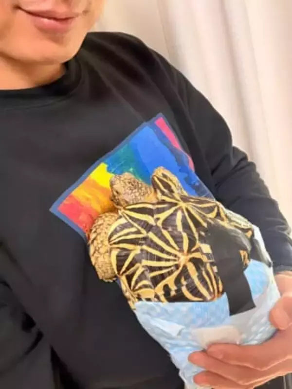 「カメって懐くんだ！！」〝飼い主見つけてダッシュするカメ〟動画が大反響「想像より早い！」「ウサギさんもびっくり」松田悟志が披露